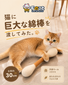 【手作り】天然ウール綿棒型かじりおもちゃ